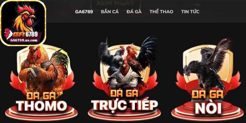 Giao diện hiện diện tối ưu